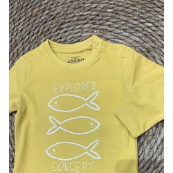 LOSAN MAGLIA M/L FISH BIMBO