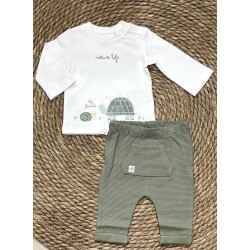 LOSAN COMPLETO TARTLE GREEN