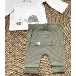 LOSAN COMPLETO TARTLE GREEN