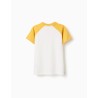 ZY MAGLIA M/M DARK YELLOW RAGAZZO
