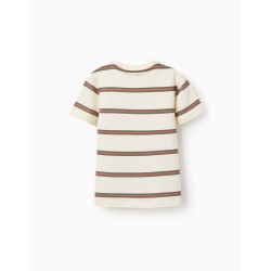 ZY MAGLIA M/M RIGHE BEIGE RAGAZZO