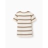 ZY MAGLIA M/M RIGHE BEIGE RAGAZZO