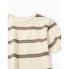 ZY MAGLIA M/M RIGHE BEIGE RAGAZZO